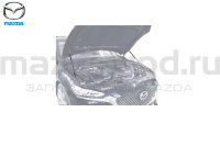 Амортизатор капота для Mazda 6 (GL) (MAZDA) 8300771487